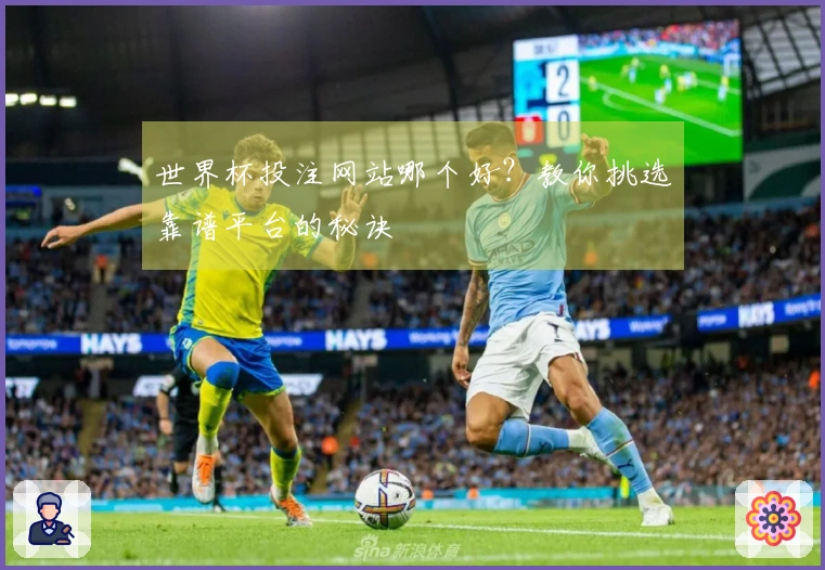 世界杯投注网站哪个好？教你挑选靠谱平台的秘诀