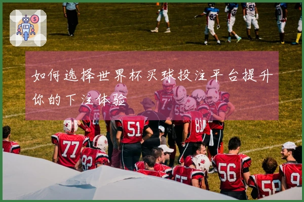 如何选择世界杯买球投注平台提升你的下注体验