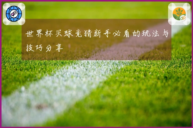 世界杯买球竞猜新手必看的玩法与技巧分享