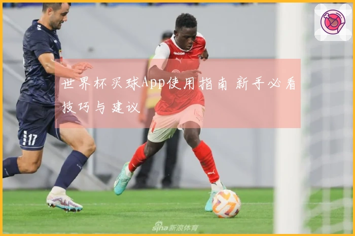 世界杯买球App使用指南 新手必看技巧与建议