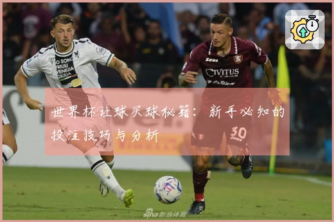 世界杯让球买球秘籍：新手必知的投注技巧与分析