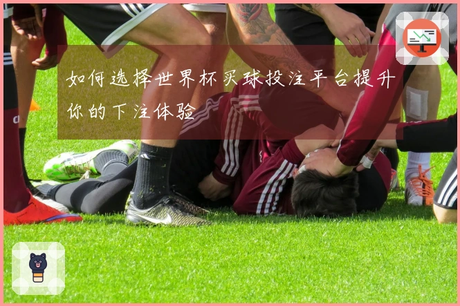 如何选择世界杯买球投注平台提升你的下注体验