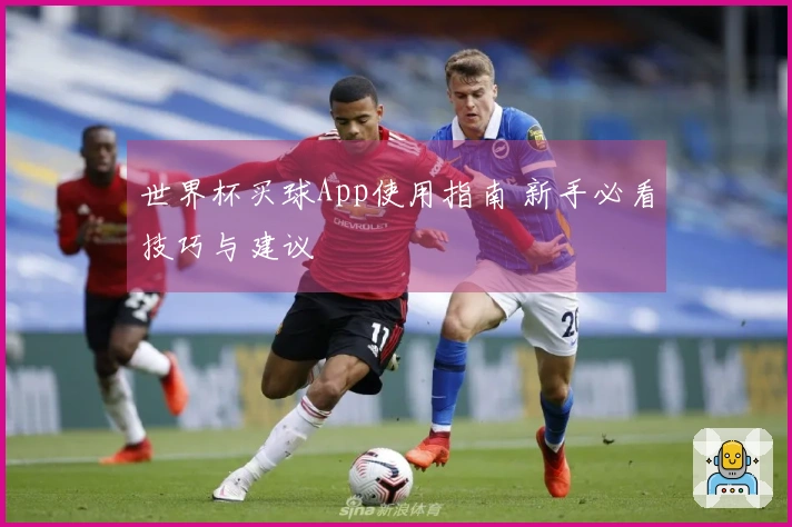 世界杯买球App使用指南 新手必看技巧与建议